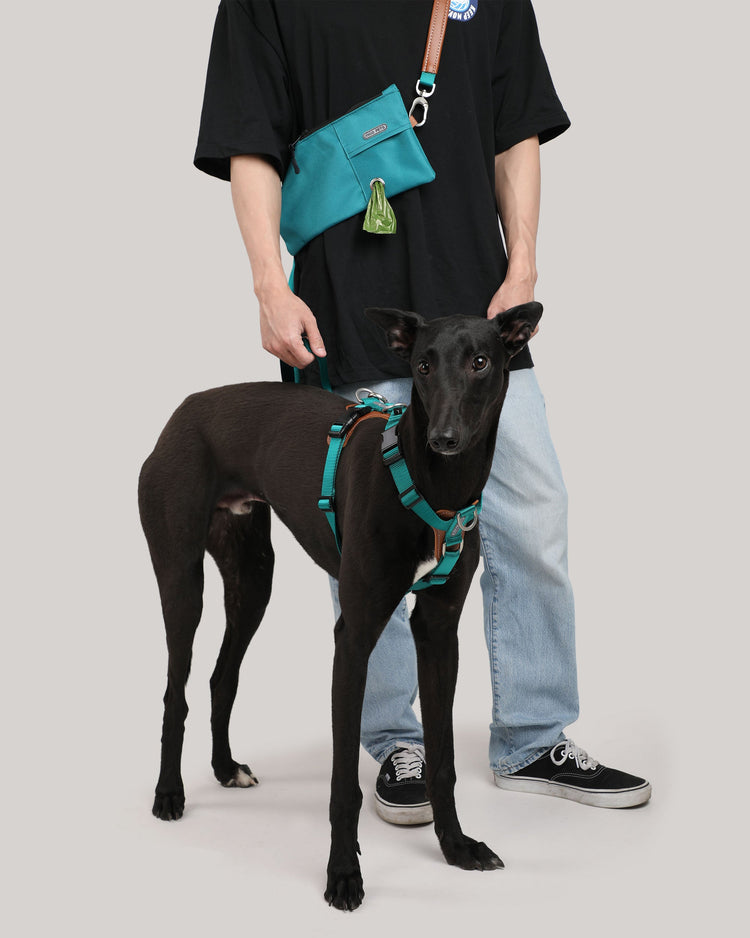 Dog Kits