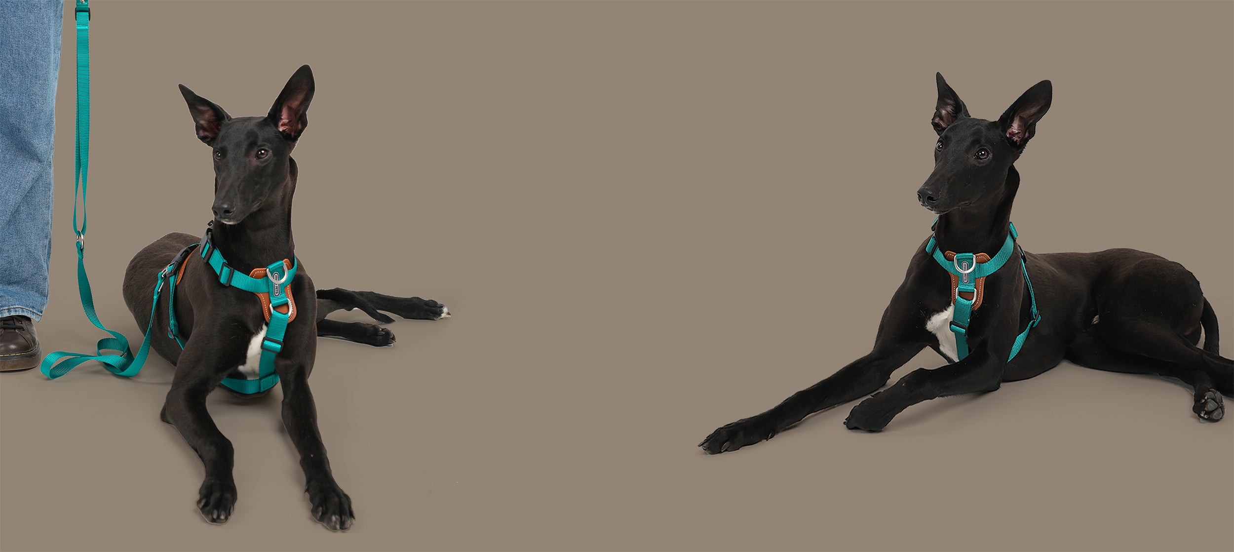 First banner