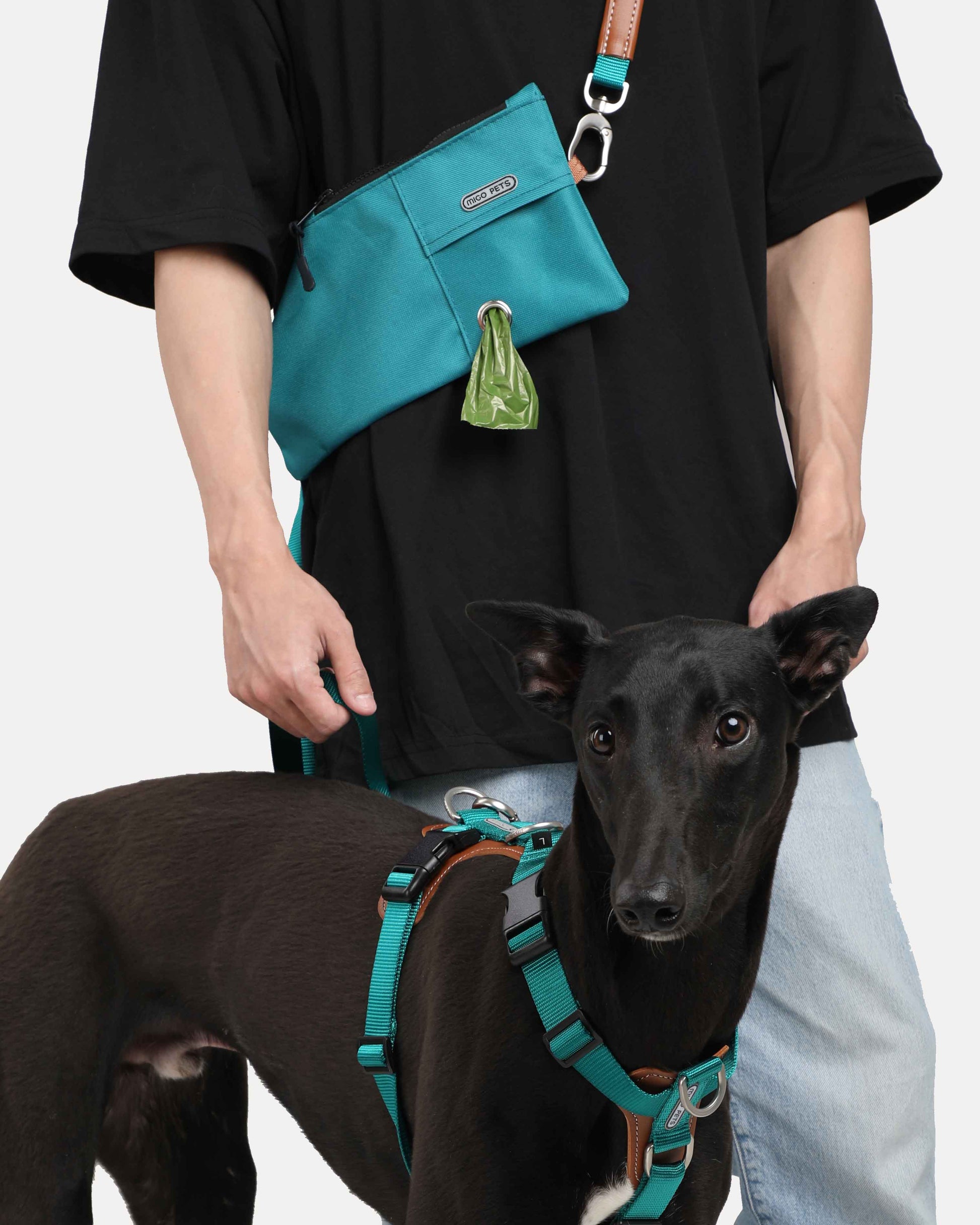 A person walking a dog while wearing a jade-green durable and versatile crossbody travel pouch.