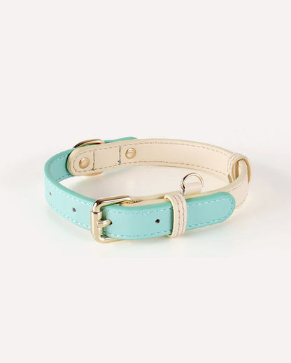 Overview of the eco-friendly two-tone genuine leather dog collar in mint, featuring its complete design.