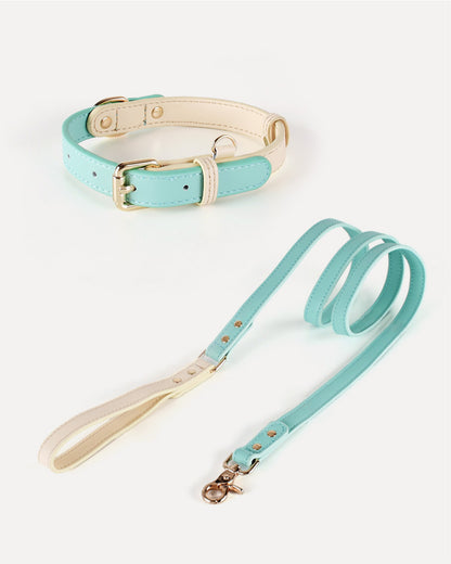 Eco-friendly two-tone dog kit in mint, featuring a genuine leather collar and leash.