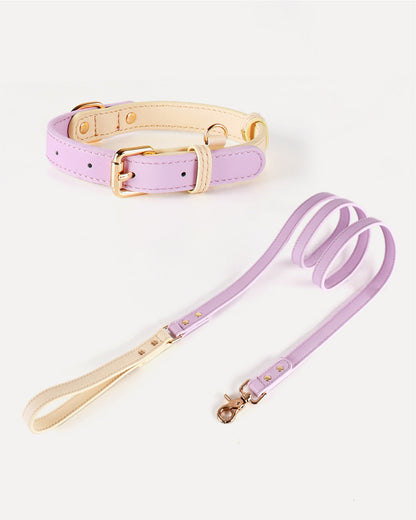 Eco-friendly two-tone dog kit in violet purple, featuring a genuine leather collar and leash.