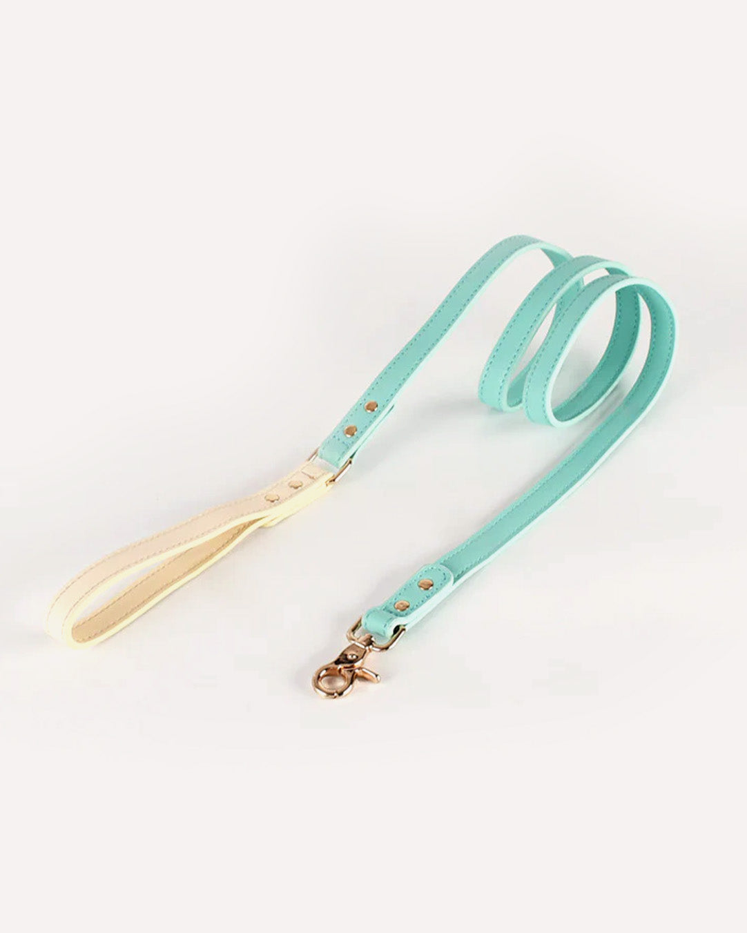 Overview of the eco-friendly two tone genuine leather dog leash in mint, featuring its complete design.