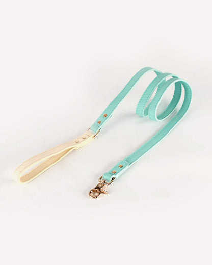 Overview of the eco-friendly two tone genuine leather dog leash in mint, featuring its complete design.