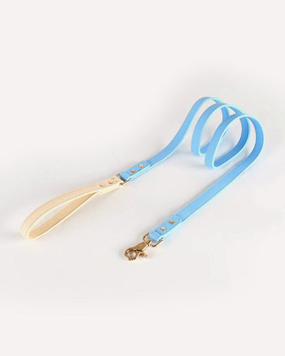 Overview of the eco-friendly two tone genuine leather dog leash in sky blue, featuring its complete design.