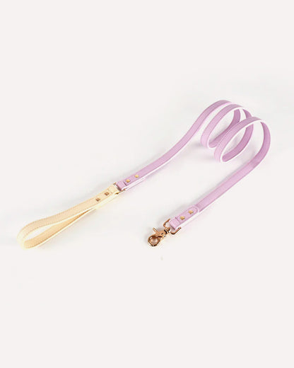 Overview of the eco-friendly two tone genuine leather dog leash in violet purple, featuring its complete design.