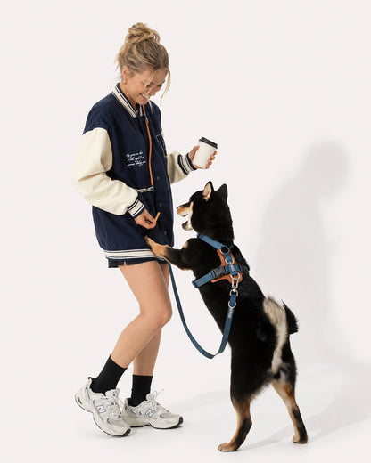 A dog in a navy blue step-in harness, with the owner using a crossbody leash and pouch, freeing hands to interact.