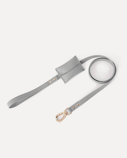 Overview of the waterproof leather dog leash with bag holder in gray, featuring its complete design.