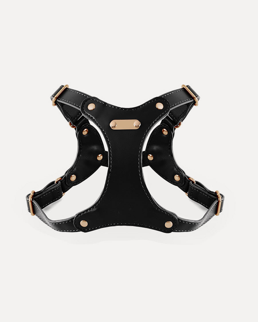 Overview of the waterproof soft leather dog harness in black, featuring its complete design.