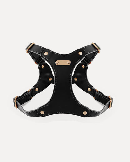 Overview of the waterproof soft leather dog harness in black, featuring its complete design.