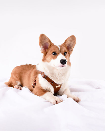 A dog wearing the brown waterproof soft leather dog harness, lying down on the ground.